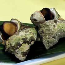 This photo about Yasuragi no Yado Hamayuso shared on HyHotel.com