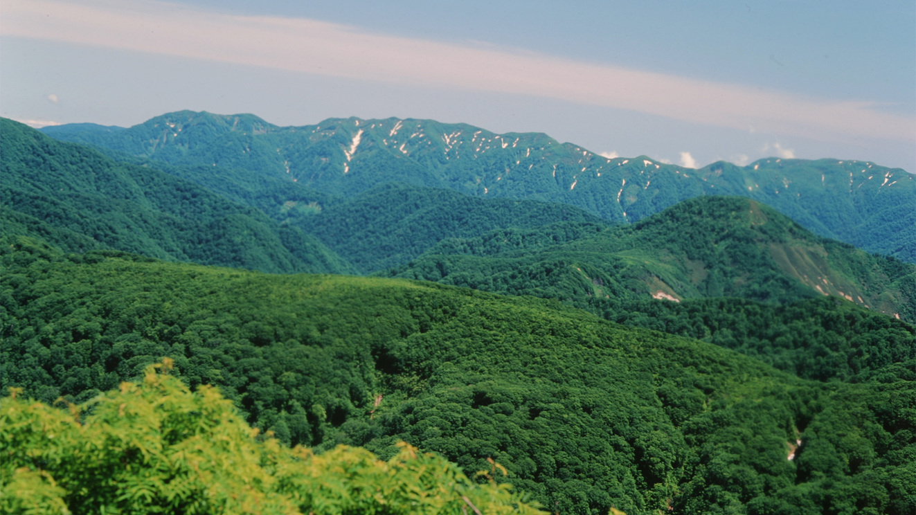 *周辺観光【白神山地】グリーンシーズンは、トレッキングで人気の世界遺産です。