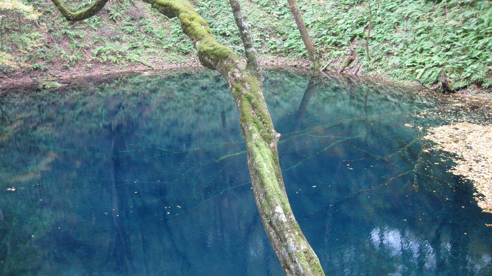 *周辺観光【十二湖/青池】特に湖面が青く美しい6〜8月にかけては多くの観光客で賑わっています。