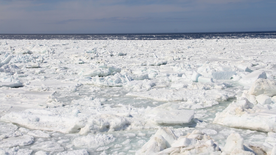 【周辺情報】当宿の目の前にオホーツク海、流氷が目前に見えることも！
