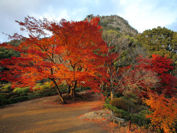 敷地内にある庭園『御船山楽園：国指定』では１１月１日〜１２月５日まで『紅葉祭り』を開催。