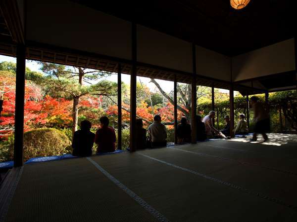 敷地内にある庭園『御船山楽園：国指定』では１１月１日〜１２月５日まで『紅葉祭り』を開催。