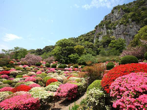 敷地内にある庭園『御船山楽園：国指定』では４月中旬〜５月初旬に２０万本のツツジが咲き乱れます。