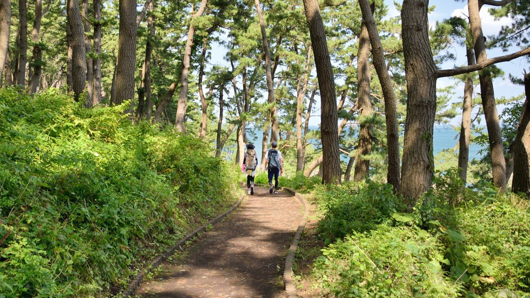 淀の松原散歩道