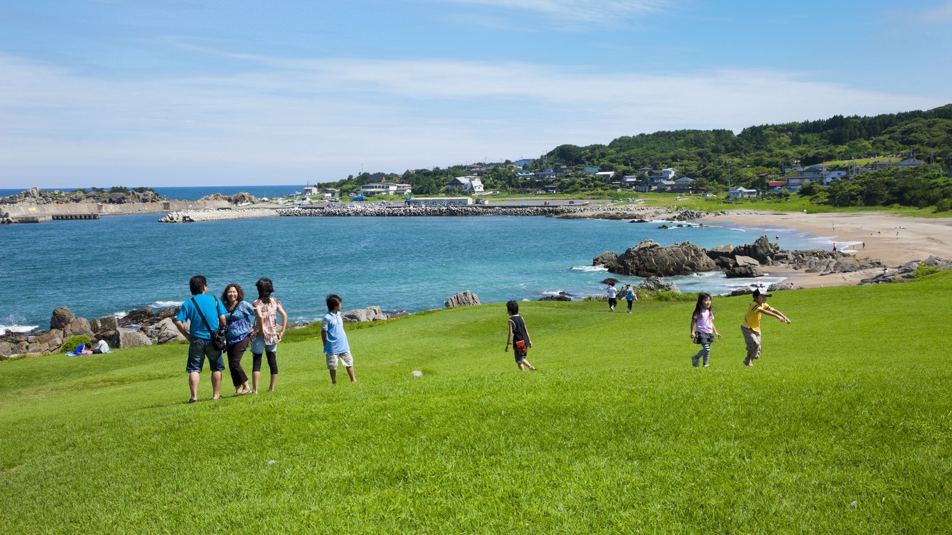 種差海岸天然芝生地