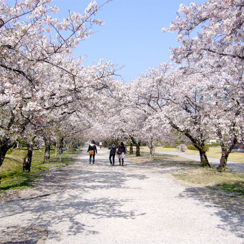 【鏡野公園】