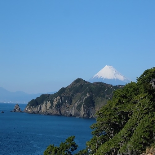 黄金崎から見た♪富士山