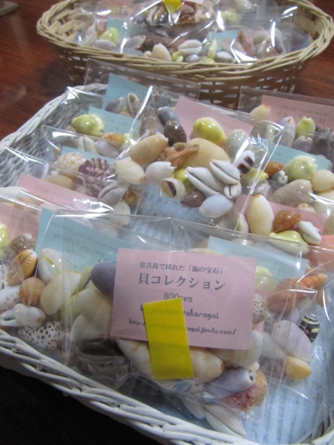 貝の販売