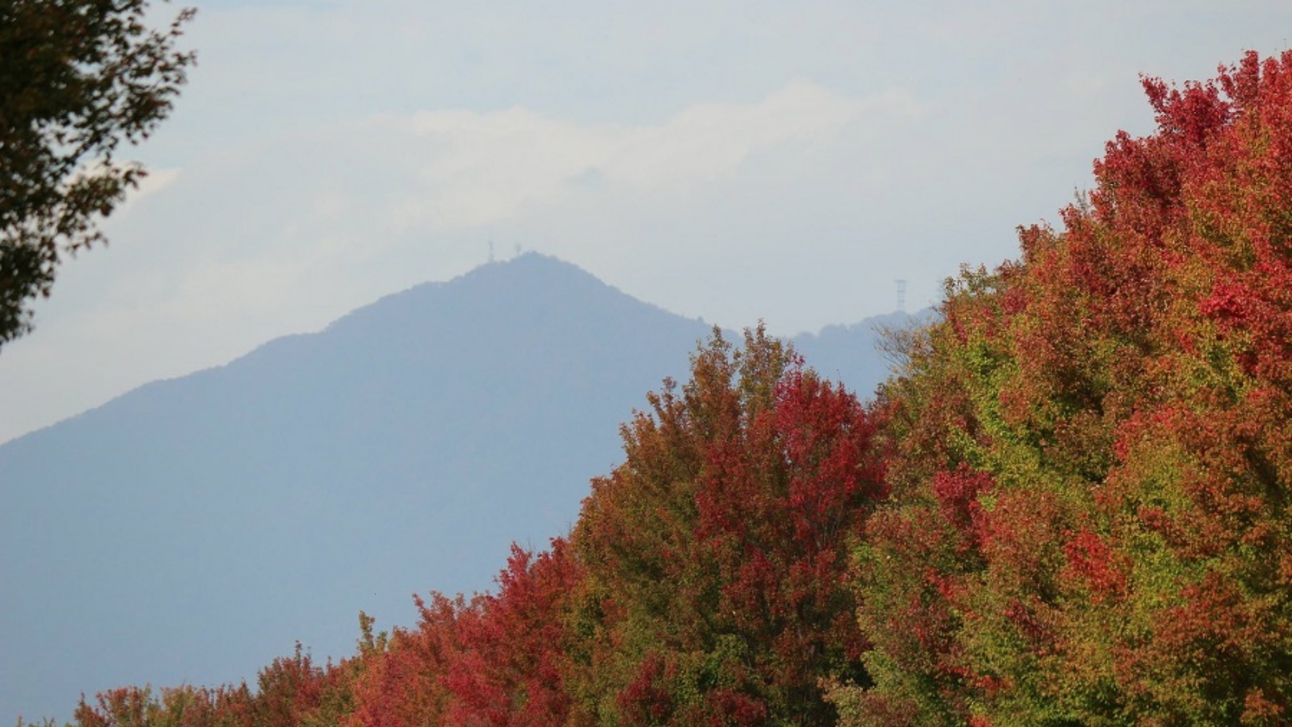 筑波山紅葉