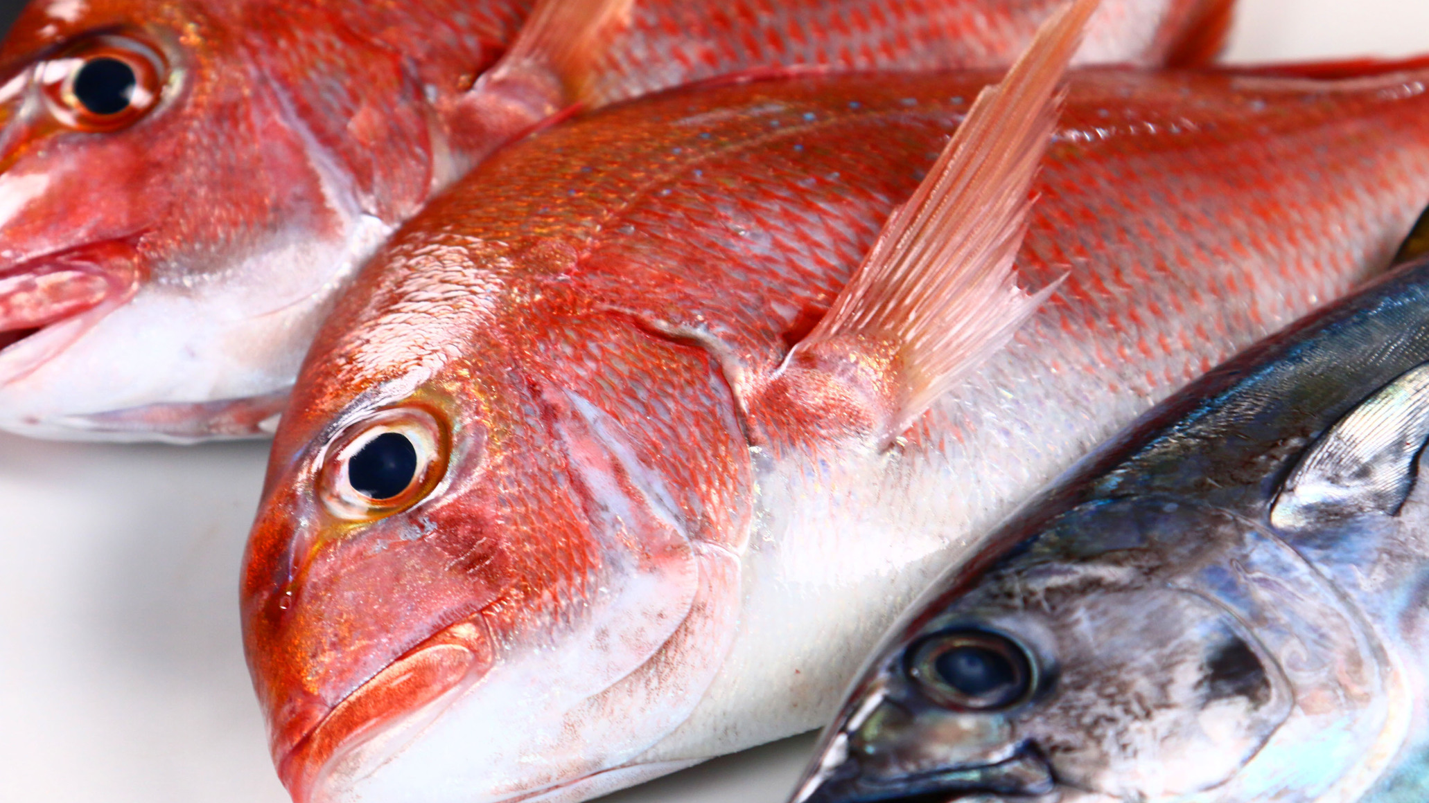 お料理新鮮な魚を調理