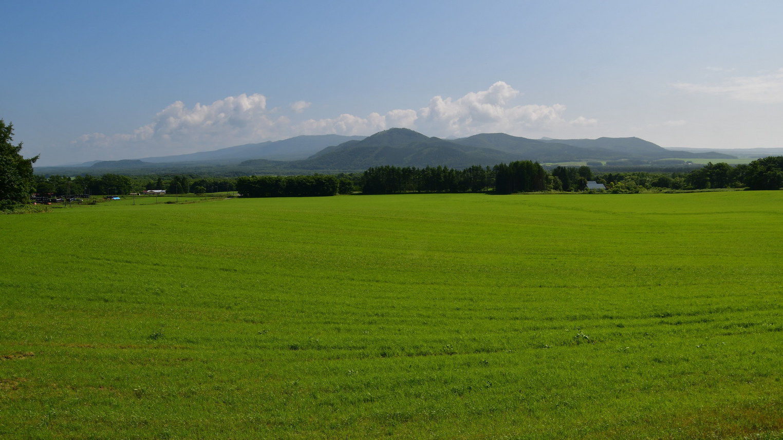 夏の牧草地