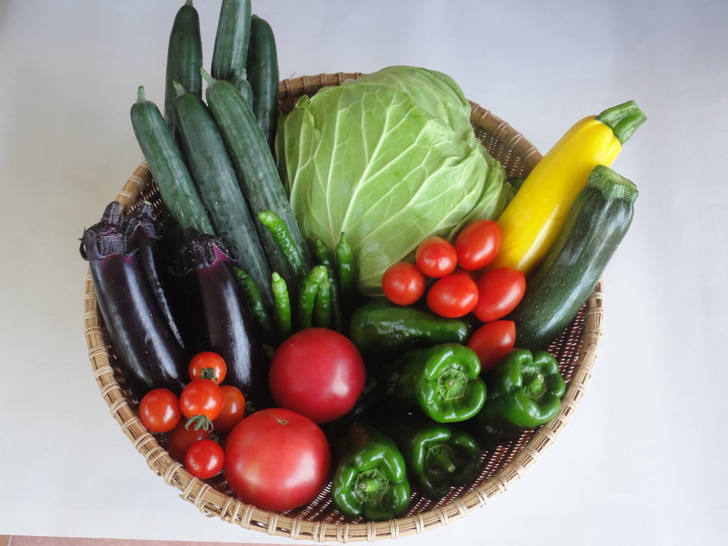新鮮お野菜をどうぞ 夏には好きな野菜を摘み取り、お料理に使うことも可能です♪