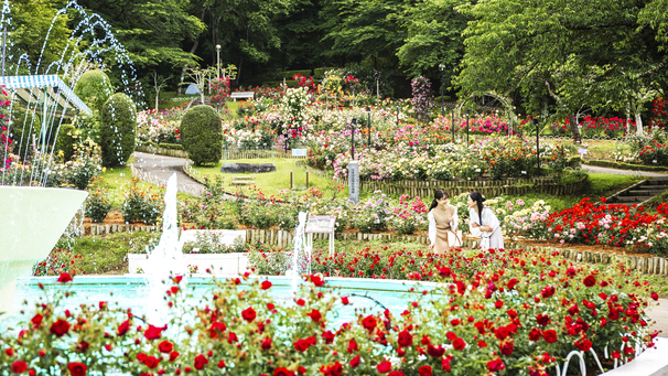 花巻温泉バラ園