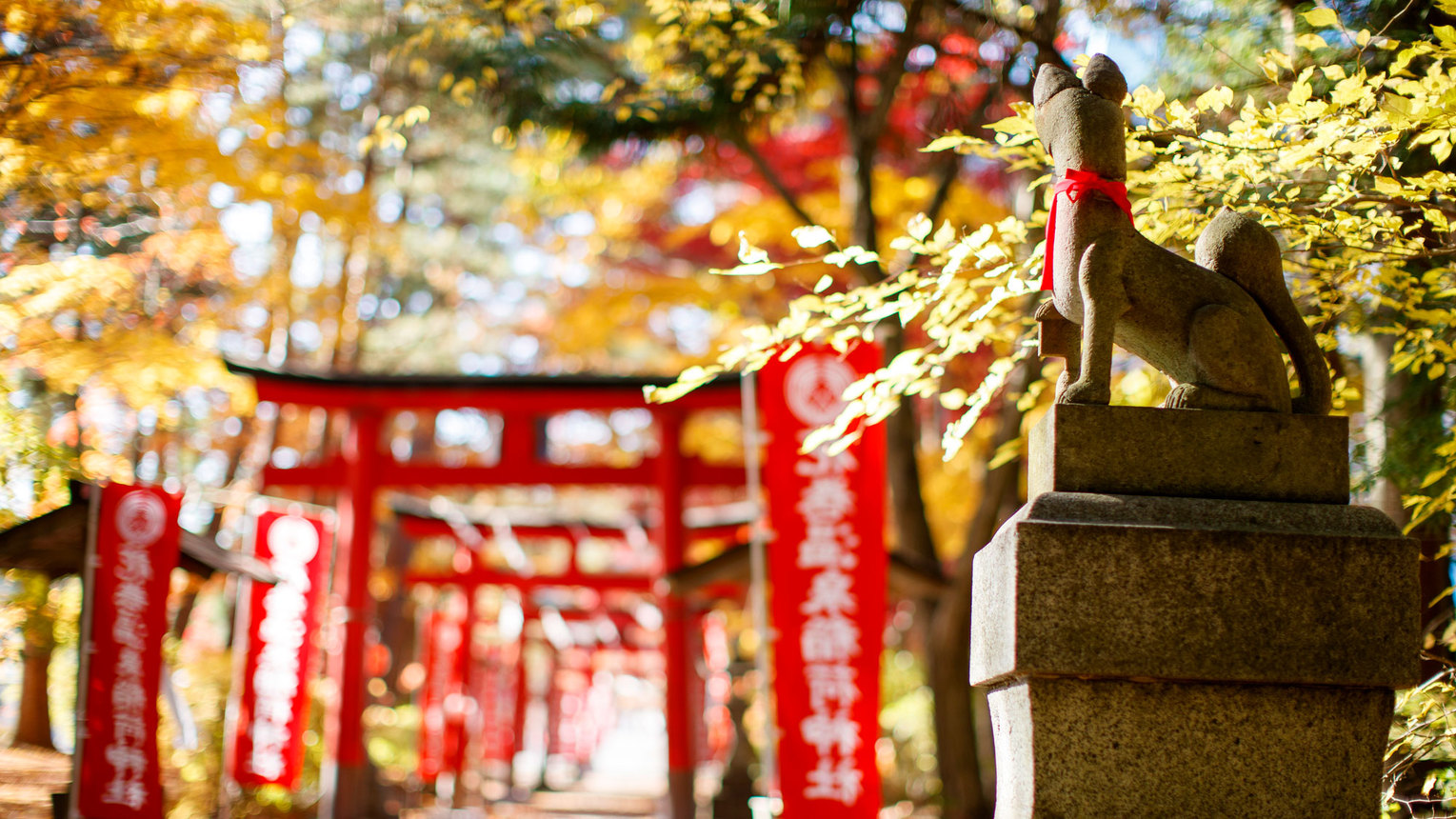 花巻温泉稲荷神社 紅葉の時季