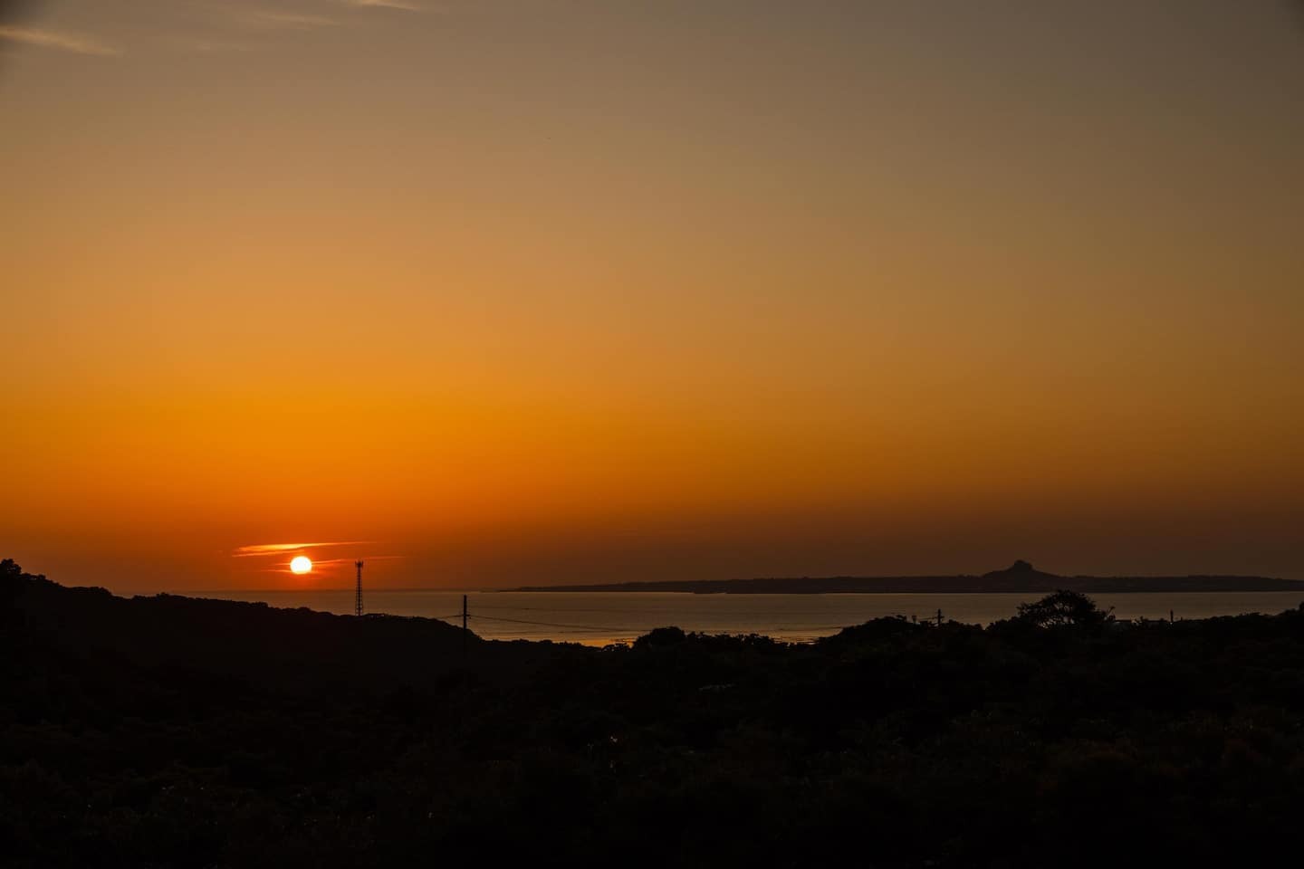 施設からの景色
