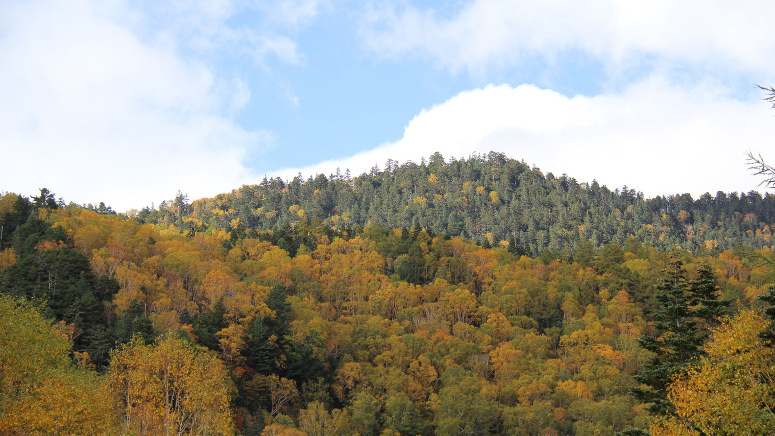 【秋】色づく山々