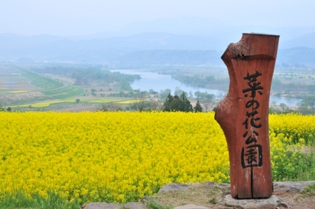 飯山市菜の花公園