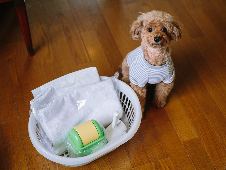 Refresh Essential Resort in Karuizawa Image 5, Karuizawa, Japan