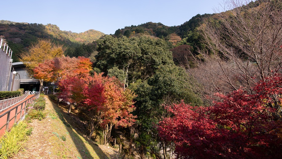 *秋は美しい紅葉が見られます