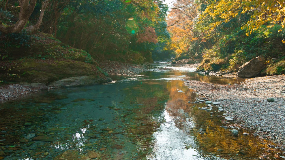 *霧の森を囲む馬立川