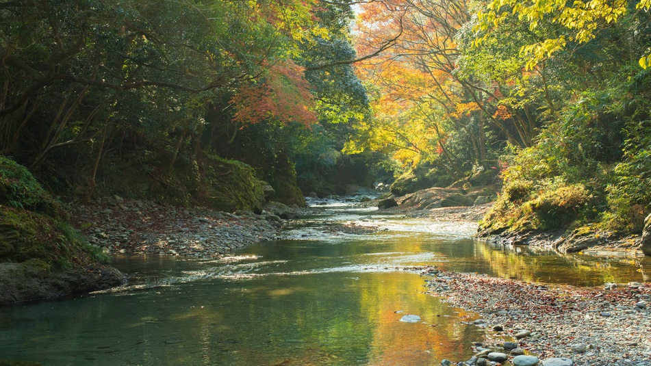 *新緑や紅葉が水面に映えます