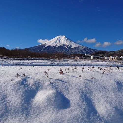 【富士山冬】
