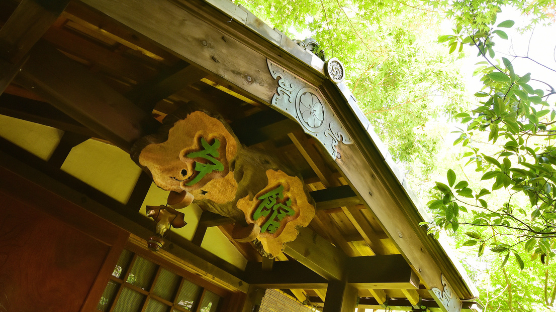 【館内】新緑の樹々がいきいきと輝く穂高城の庭園。ゆったりと散策したい。