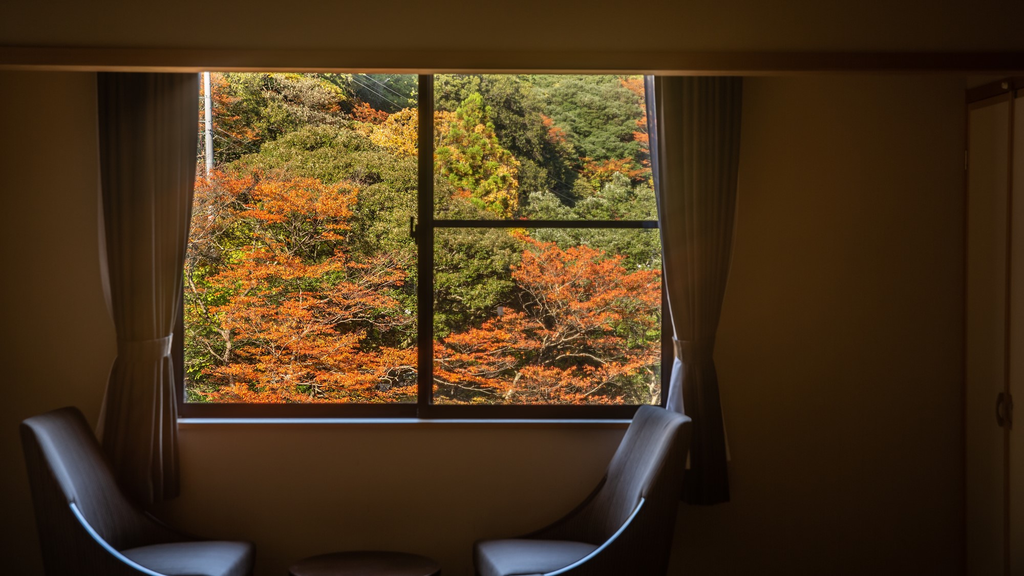 *【和室9〜12畳】秋は窓から色鮮やかな紅葉の景色をお楽しみいただけます。