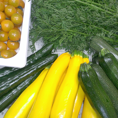*やっさん農園のズッキーニ