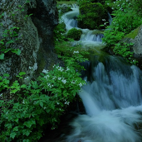 Pension Kurambon Image 5, Kitashiobara, Japan
