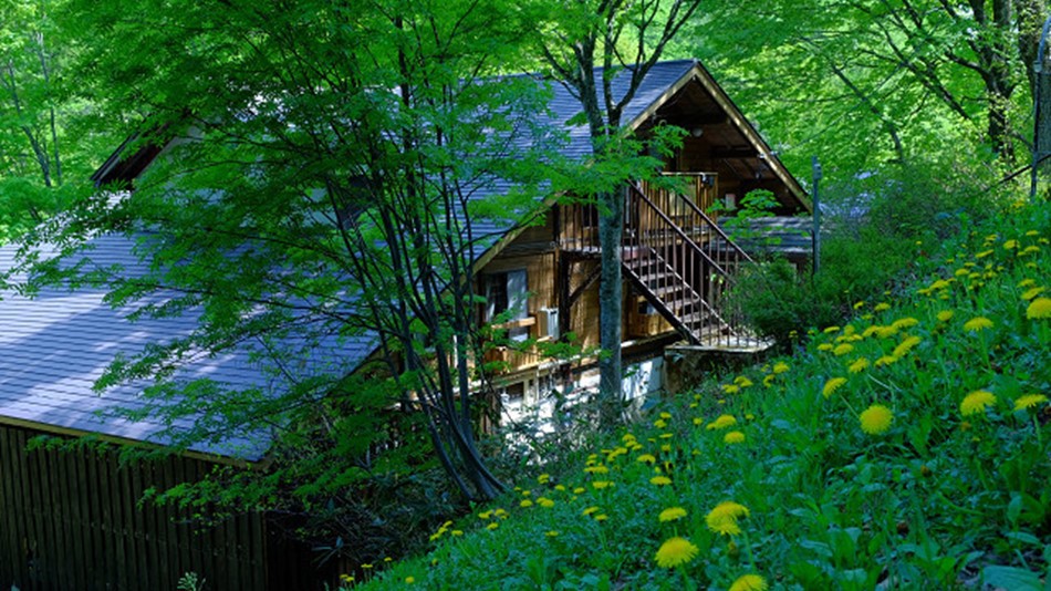 緑に囲まれた木造りの小さな宿