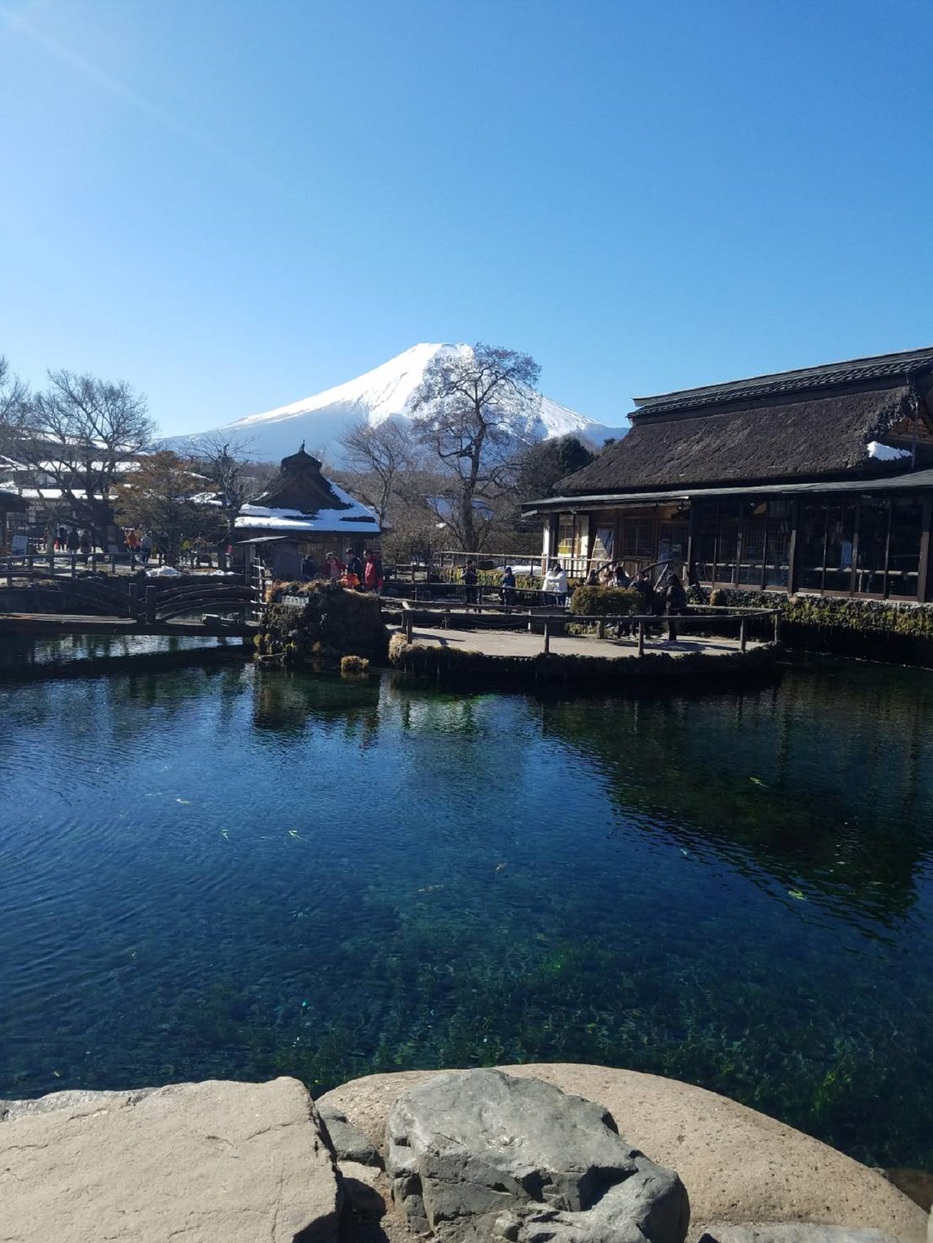 忍野八海七つの美しい池があります