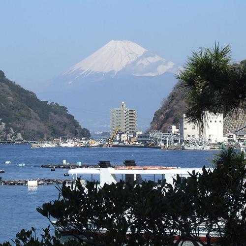 当館から眺める富士山