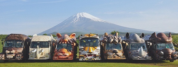 [富士サファリパーク]当館より車で30分