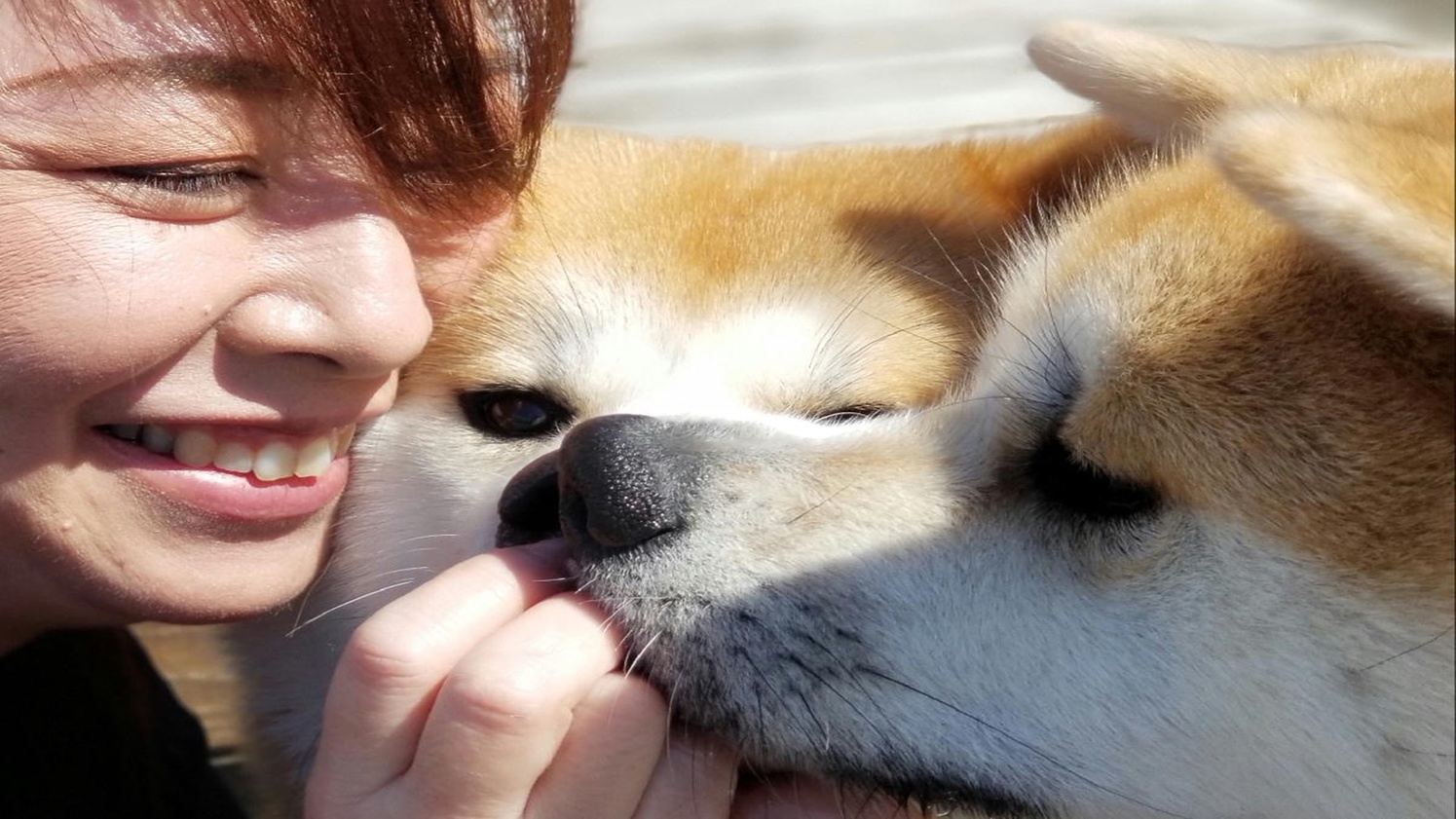 *もふもふと触れあおう！※写真はコロナ禍前です現状はマスク着用でのふれあいとなります