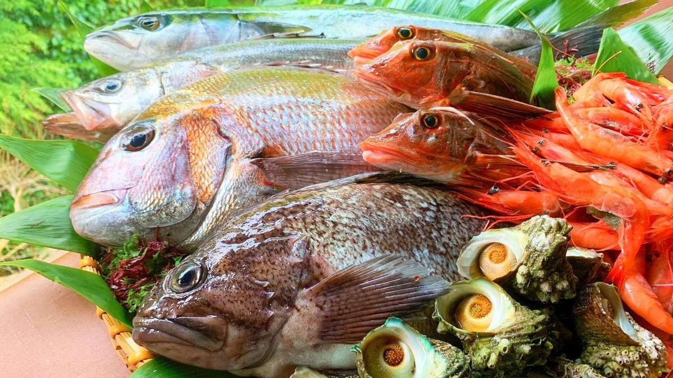 【〜大漁会席膳〜日本海で水揚げされた海の幸】新鮮で美味しいお魚を中心とした和会席