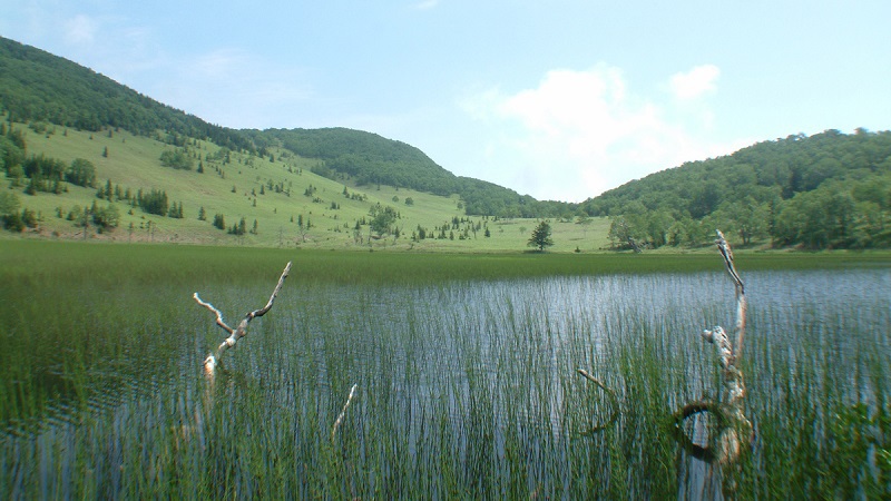 【東雲湖／しののめこ】は、然別湖の東側の森の中にひっそりと佇む緑に囲まれた小さな湖