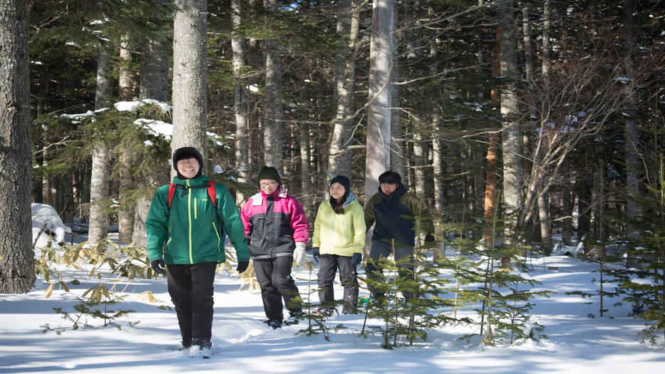 【しかりべつ湖コタン／原生林スノーシューハイク】自然いっぱいの森の中をお散歩♪