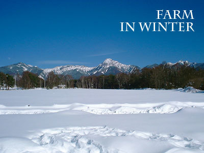 冬の農場からの八ヶ岳