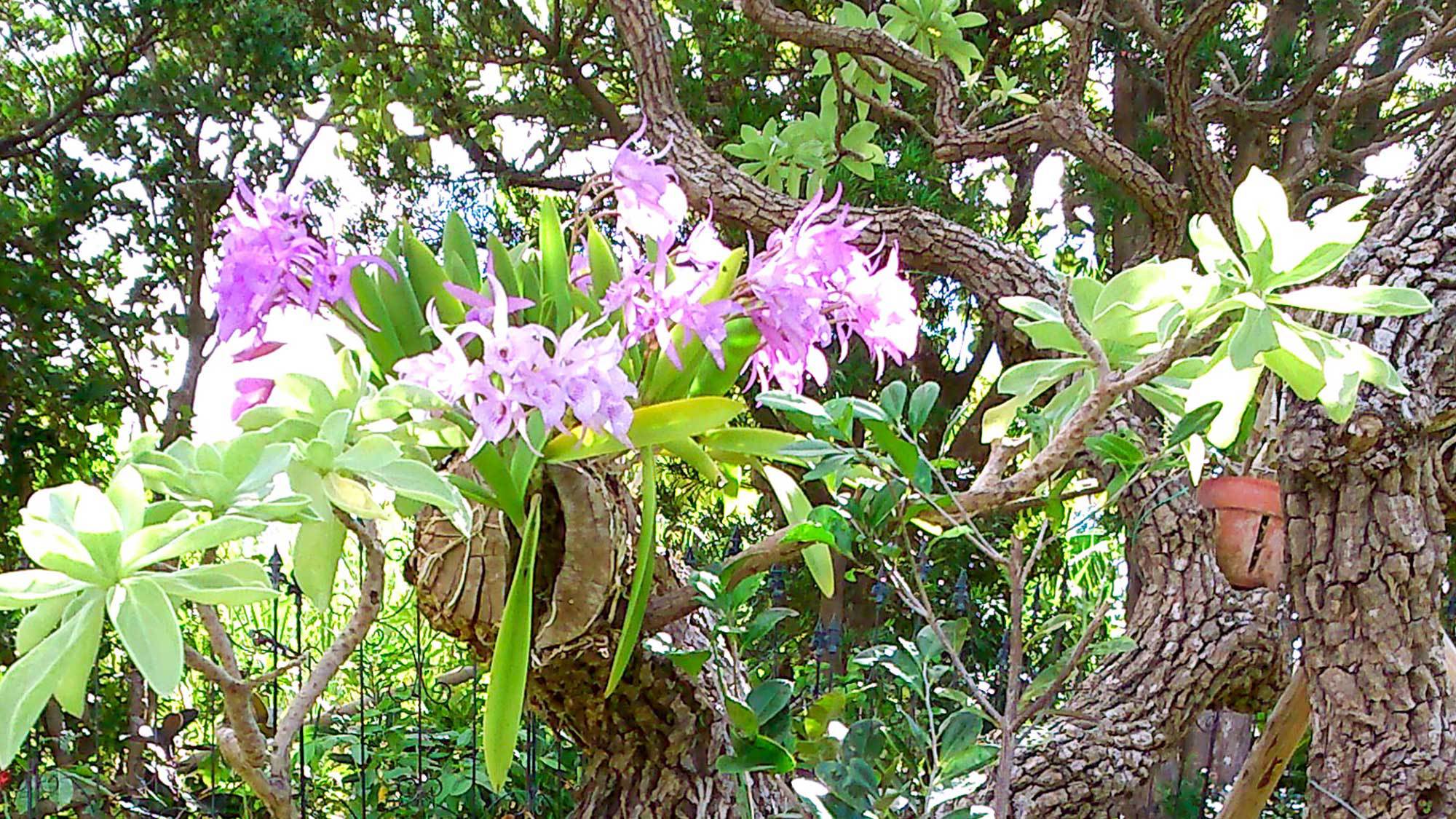 ・木と花が複雑に入り組んでオシャレ！