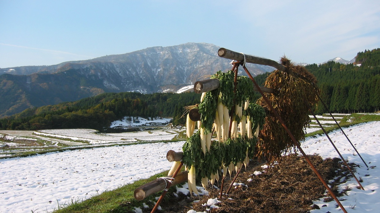 *雪のある景色（氷ノ山）