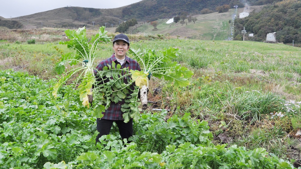 *地元で採れたお野菜