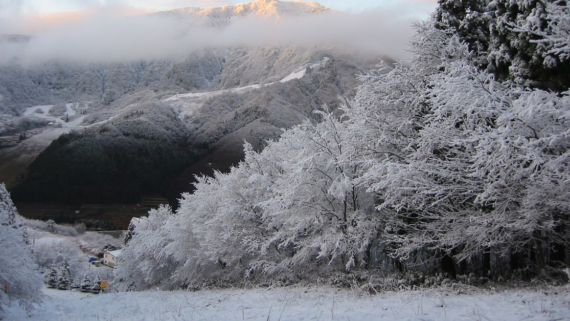 *雪のある景色（氷ノ山）