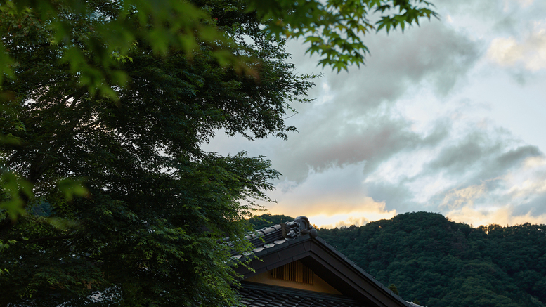 #夏・和庭園縁側で深緑を眺めながら夕涼み。