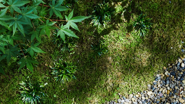 #四季移ろう和庭園