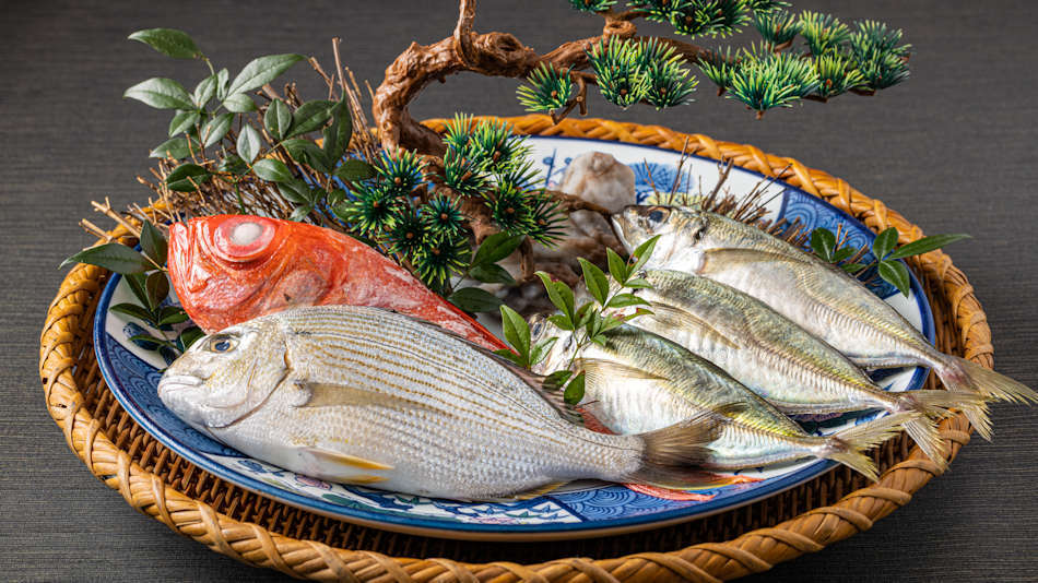 新鮮な地魚はお造りで（時期により内容に変更有り）