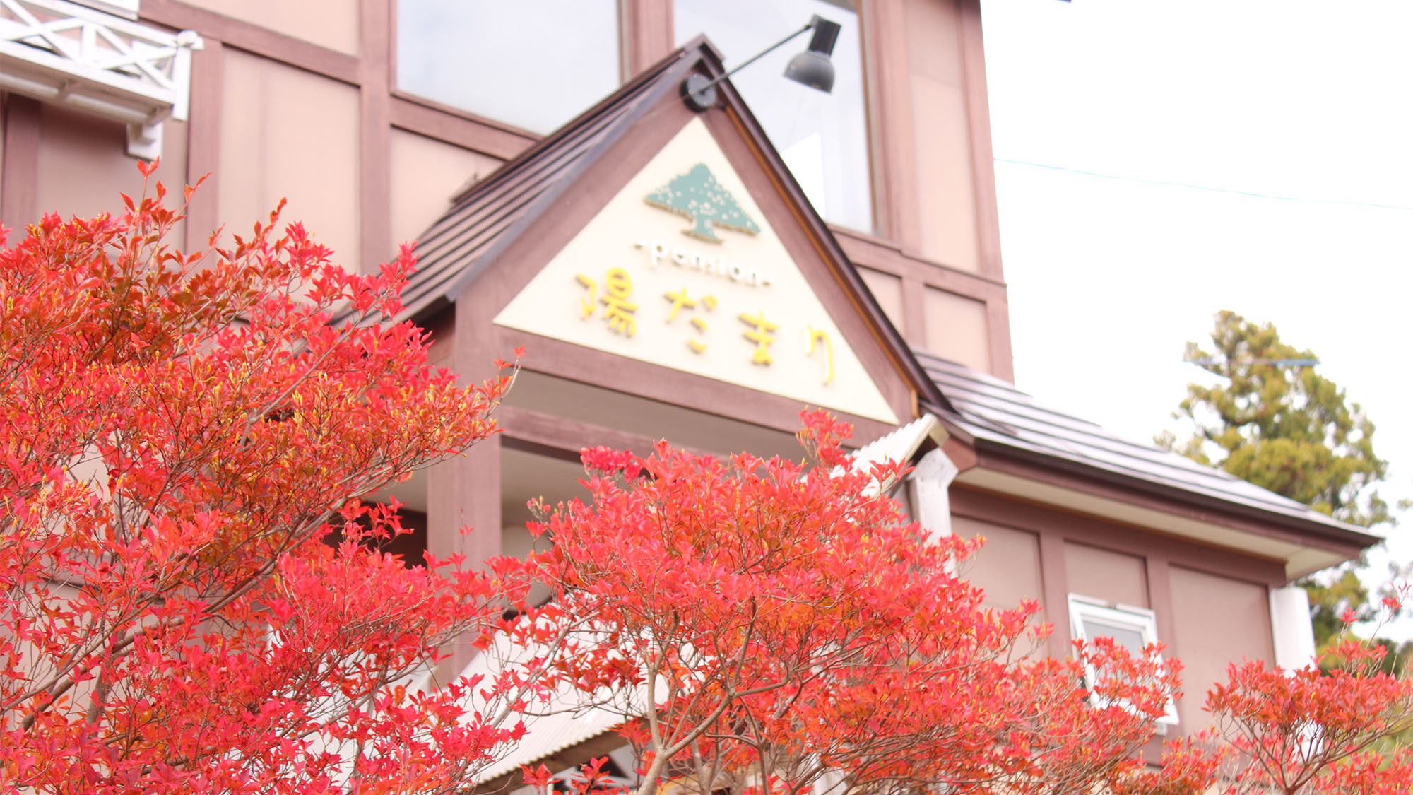 ・【外観・秋】秋には真っ赤な紅葉が当館を彩ります