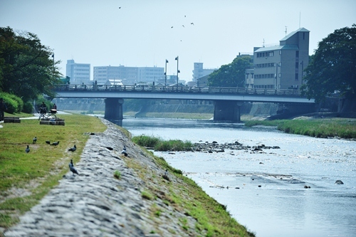 葵高瀨川