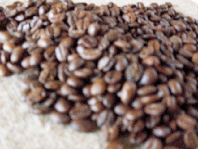 コーヒー豆も自家焙煎