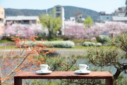 鴨川邸テラス(春)
